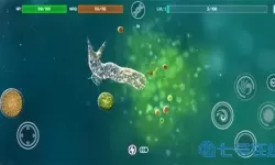 孢子进化论拥挤版