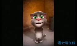 会说话的汤姆猫2010版本