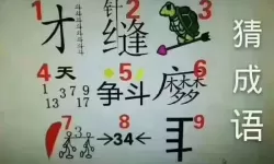 见缝插针后面接什么成语