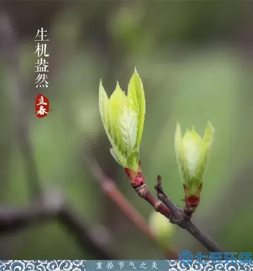 四季之春立春信物是什么