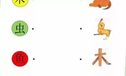 数字连连看小班教案