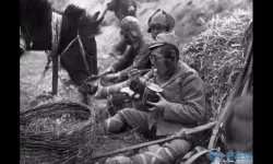 可怕的夏日二无限金币无限钻石