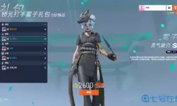 守望英雄集结礼包