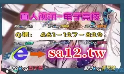 随机点数大师停服