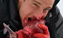 求生大作战贝尔