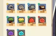 妙奇星球法官培养