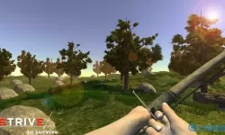 丛林生存小游戏