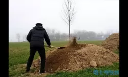 被埋葬的博尔内什如何捕捉