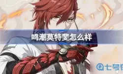 鸣潮分渠道服吗