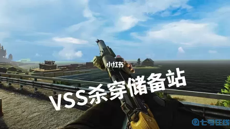 逃离塔科夫vss满改