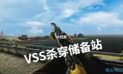 逃离塔科夫vss满改