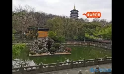 宠我一生雷峰塔在哪