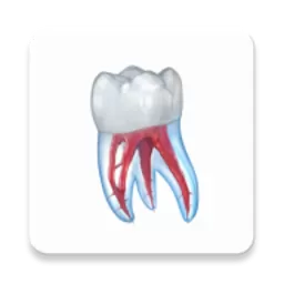 Dental Illustrations官方版下载