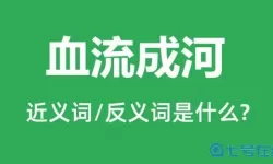 血流成河形容什么