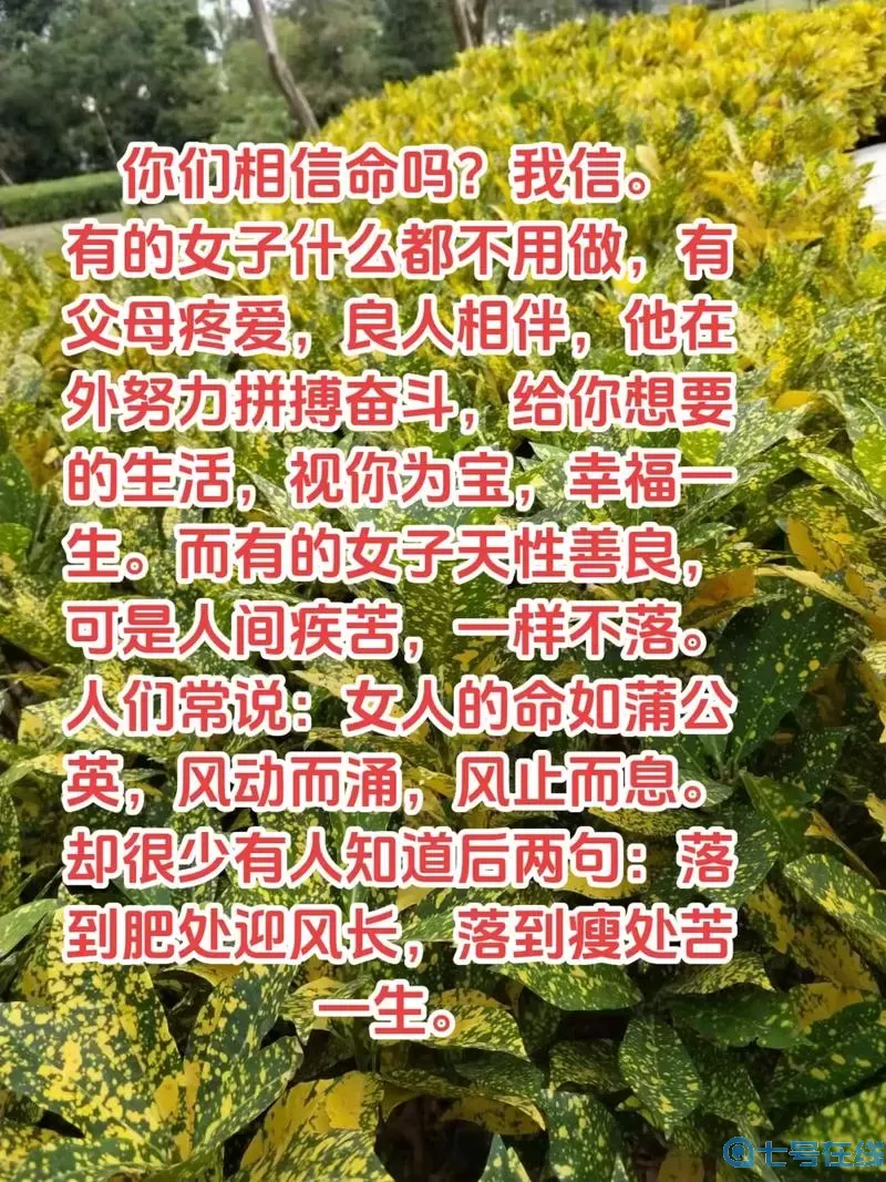 宠我一生村委会有什么用