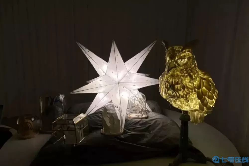 迷失的光物品大全