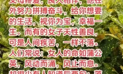 宠我一生村委会有什么用
