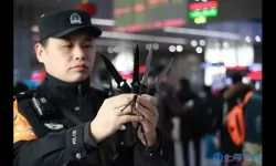 边境检察官缴获埋藏的违禁品怎么处理