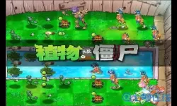 动物大战僵尸暖羊羊遇到凉冰冰