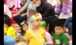 萌鱼泡泡为什么加不了好友