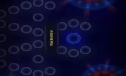 微生物模拟器怎么升级