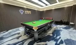 台球王者vip价格多少