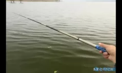 钓鱼人生海马之王在哪里钓