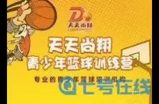 天天篮球训练营怎么样