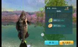 钓鱼大咖游戏视频