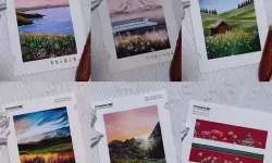 绝处逢生凯西结局