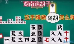 湖南跑胡子不打钱的