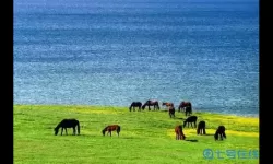 卡卡颂河流分割草原吗