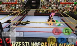 摔跤革命3D好玩吗