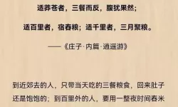 江湖中的我逍遥游在哪