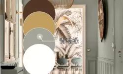 家居改造王qq和抖音一样吗