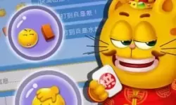 蕲春打拱怎么样包赢