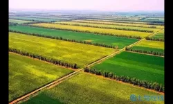 小镇物语如何增加农田