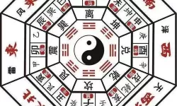 三国列传八卦阵图怎么过