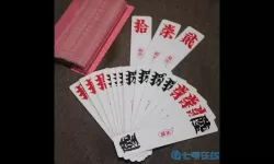 湖南跑胡子皮皮