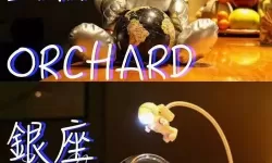 英雄之血容器怎么搞