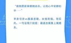 颠倒世界小说梦里闲人