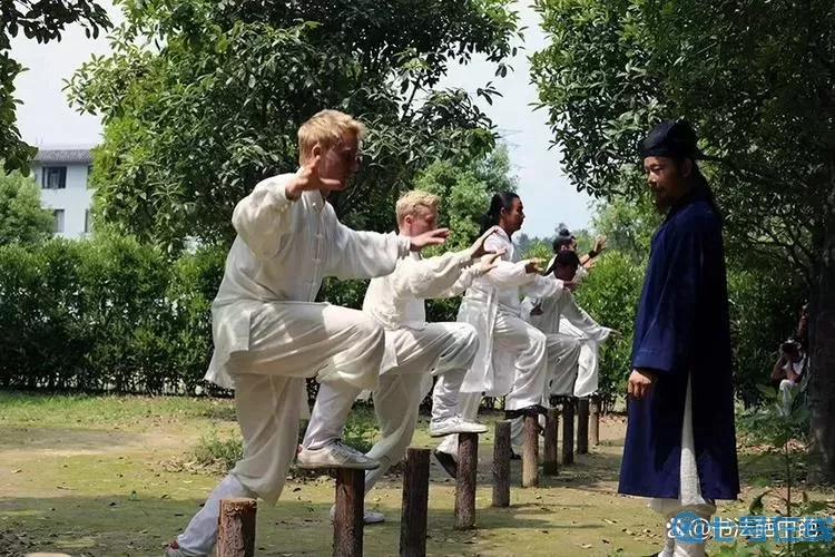 汉家江湖太极拳法在哪里的