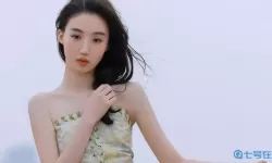 从野鹤1v1江淮辞看人生与选择的哲学