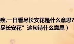 花落长安长流水下一句是什么