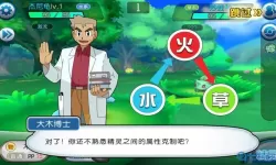 口袋进化为什么不能洗练