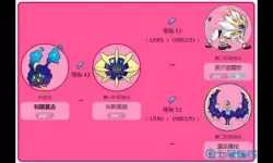 口袋进化人物怎么升等级