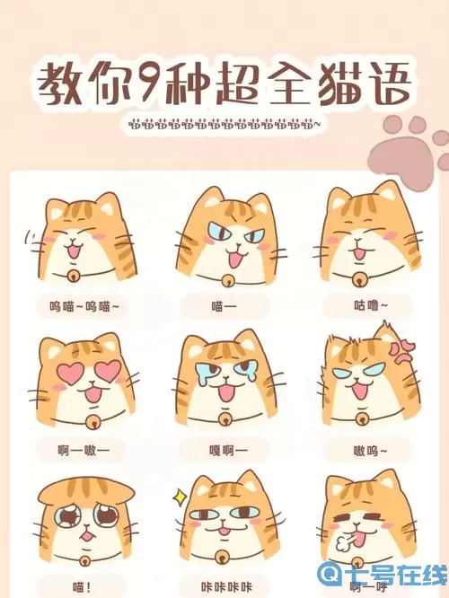 萌猫物语问题大全