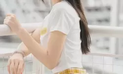 超级肉禽系统情节分析：给养殖户带来的新机遇