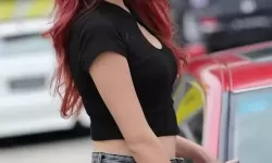 人马畜禽company limited的成功案例与经验分享