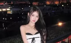 超级肉禽系统情节分析对肉类市场的影响与前景